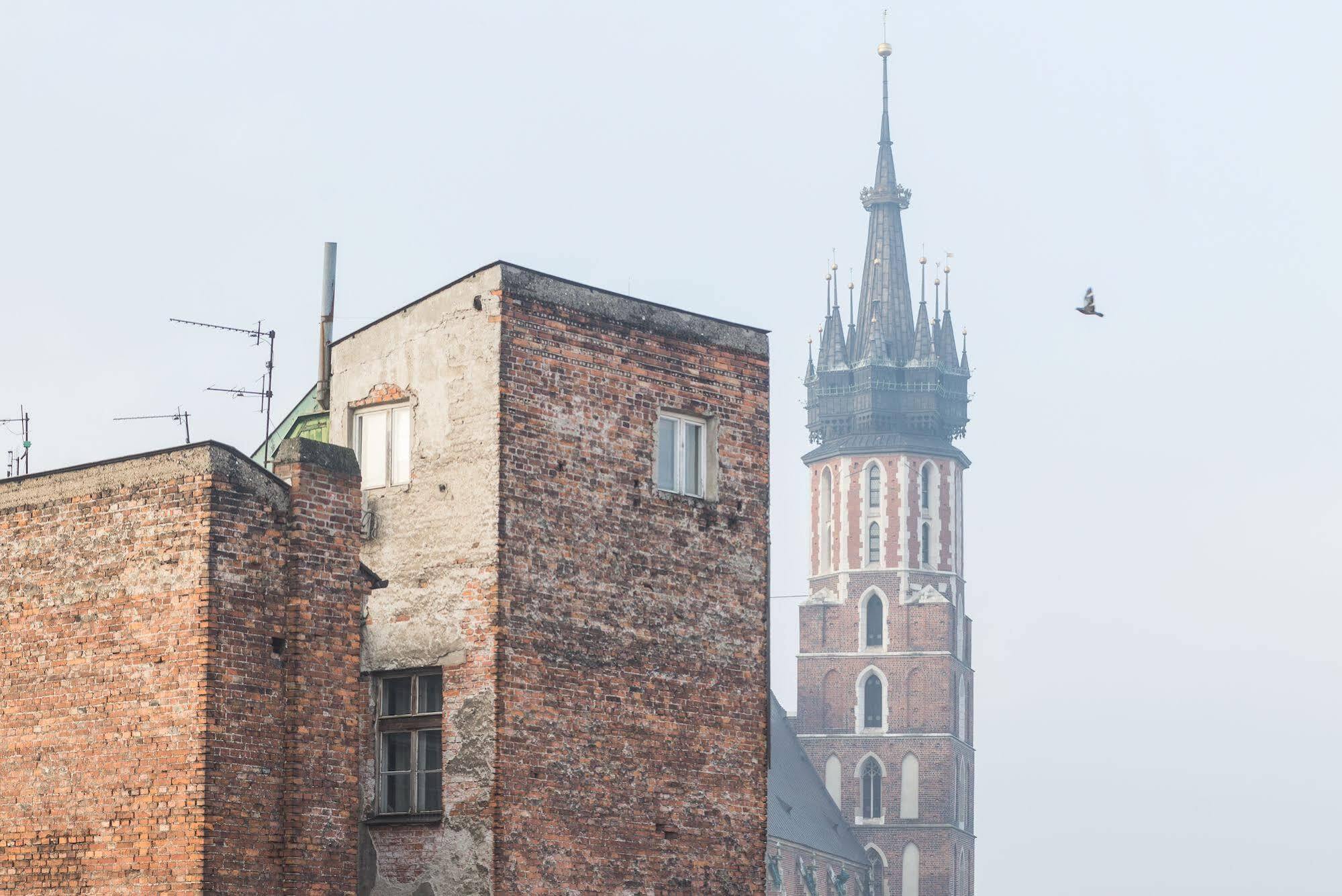 Novumhouse - Tomasza Lejlighed Kraków Eksteriør billede
